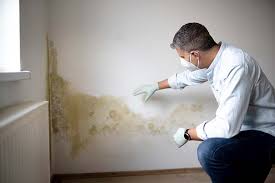 Mold Documentation for Insurance Claims in Pearl, MS